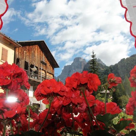 Dolomites Holidays 塞尔瓦迪卡多雷 客房 照片