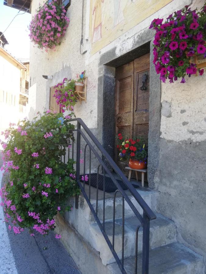 Dolomites Holidays 塞尔瓦迪卡多雷 外观 照片